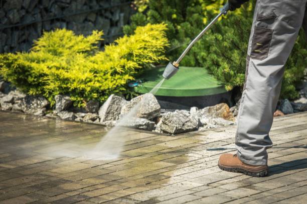 Best Pre-Holiday Cleaning  in Madison Lake, MN