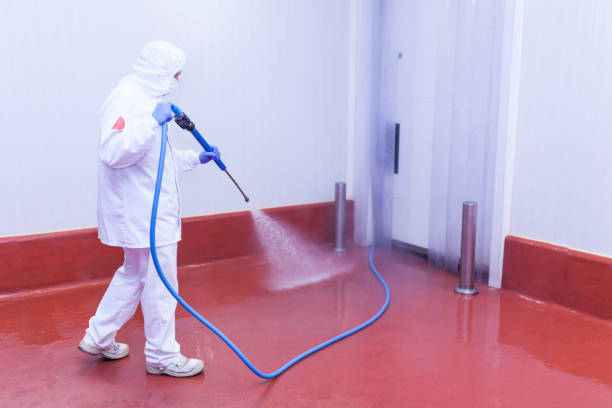 Best Driveway Pressure Washing  in Madison Lake, MN